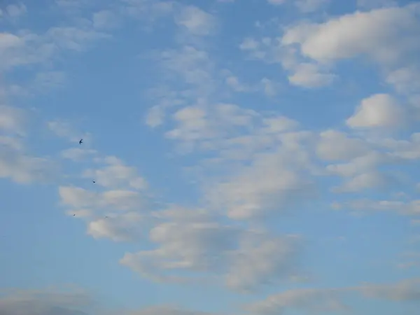 Conceito de dia do ambiente mundial: abstrato belo céu azul e nuvens brancas papel de parede fundo — Fotografia de Stock