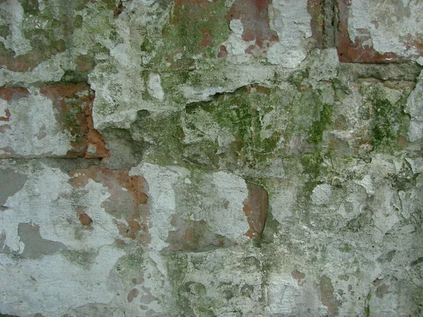 Fondo abstracto: una vieja pared de ladrillo de cerámica roja dañada por las inundaciones y cubierta con musgo y moho . — Foto de Stock
