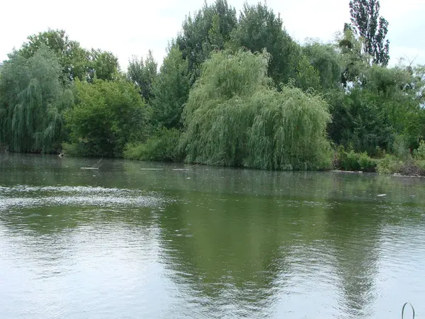 Krajobraz z zachmurzone niebo, Cumulus chmur, zielony las i jezioro z refleksjami w wodzie z wierzby i stroiki — Zdjęcie stockowe