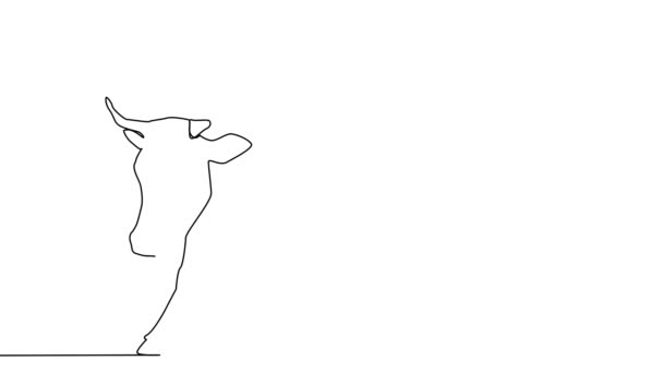 Cow Self Drawing Simple Animation One Continuous Drawing One Line — Stock Video