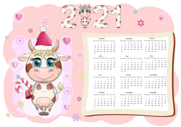 Witte Kalender Voor 2021 Met Kawaii Cartoon Stier Stier Koe — Stockvector