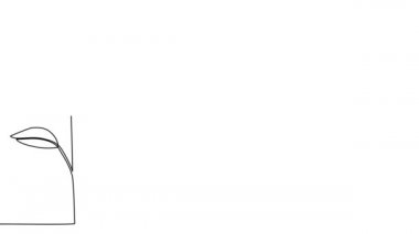 Benlik, çizim, animasyon sürekli tek çizgi, gül, çiçek.