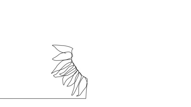 Прекрасный Подсолнух Непрерывный Рисунок Линии Минималистская Иллюстрация — стоковое видео