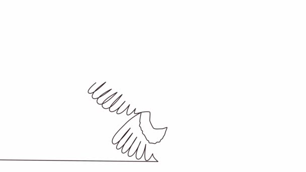Self Drawing Simple Animation One Continuous Drawing One Line Owl — Stock Video