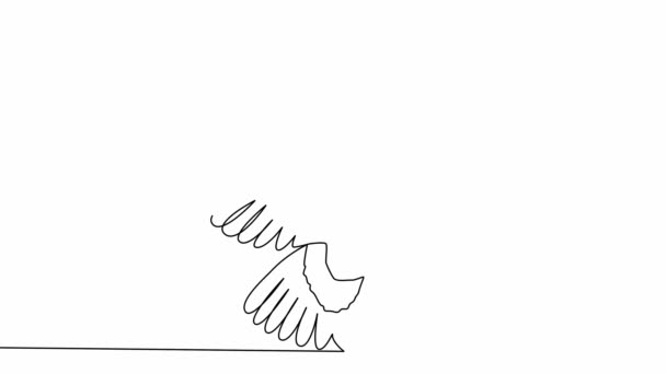 Continuous Uma Linha Auto Desenho Animação Simples Uma Coruja Voadora — Vídeo de Stock