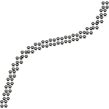 Hayvanın patikası. Beyaz renkte köpek ya da kedi pençeleri izi var. Patika yolu yaban hayatı, ayak izi silueti