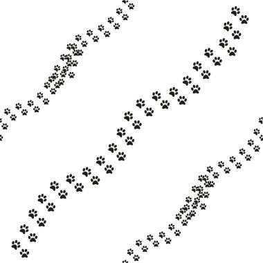 Hayvanın ayak izleri kusursuz. Pençe izli, siyah ve beyaz iz, hayvan ayak izi.