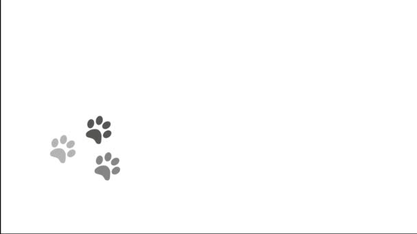 Pata impresiones animal pies pie huellas pawprints perro gato 4k — Vídeo de stock