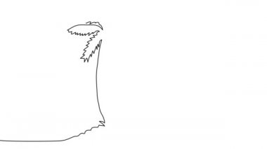 Sahilde palmiye ağaçlarının aralıksız çizilmesinin animasyonu