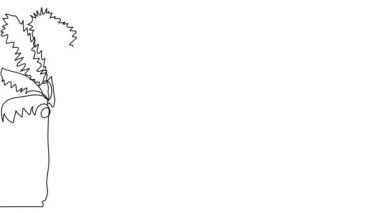 Güzel yelkenli yatının çizim çizgisi çizimi. Palmiye ağaçlarıyla tropikal sahil kenarında yelken açıyor.