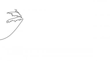 Sahilde palmiye ağaçlarının aralıksız çizilmesinin animasyonu