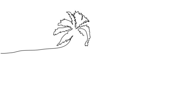 Animación de dibujo en línea continua de palmeras en la playa — Vídeos de Stock