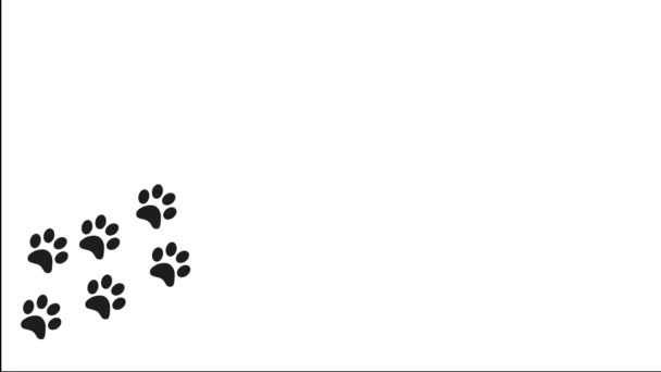 Pata impresiones animal pies pie huellas pawprints perro gato 4k — Vídeo de stock