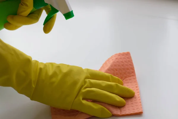 Woman hands with cleaning equipment on white background