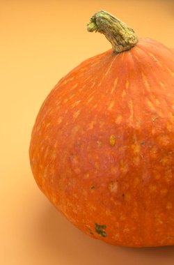 Turuncu arka planda balkabağından yapılmış yaratıcı bir düzen. Düz yatıyordu.