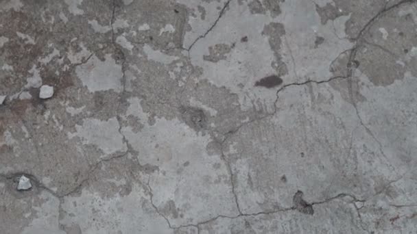 Texture Cement Floor View Top Camera Movement Cracks Stains Monochrome Texture Cement Floor View Top Camera Movement Cracks Stains Monochrome