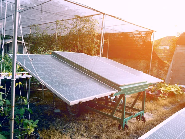 Solar cells for agriculture. Plant and Power electricity concept. Business and industrial concept.