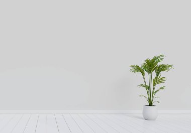Modern iç mekan tasarımları ile doğal yeşil bitki pot beyaz parlak ahşap zemin üzerinde oturma odası. Ev ve yaşam kavramı. Lifestyle tema. 3B çizim oluşturma.