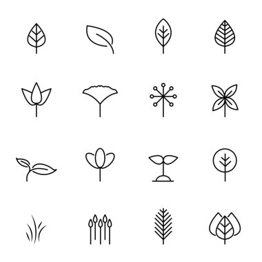 Vektör yaprak Icon set. Doğa ve sembol kavramı. İnce çizgi ikon teması. Beyaz arka plan izole. İllüstrasyon vektör.