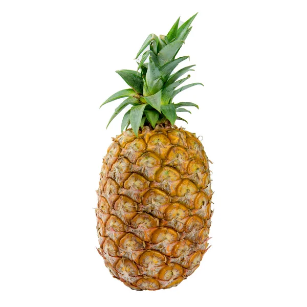 Verse Rijpe Ananas Geïsoleerd Witte Achtergrond — Stockfoto