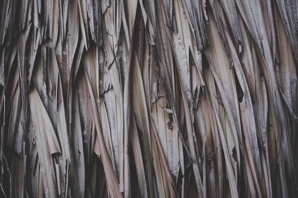 Thatch Doku Arka Planını Kapandı Duvar Kağıdı Dekorasyon Konsepti Doğa — Stok fotoğraf