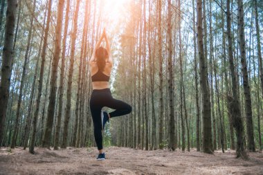 Ayakta ve ormandaki yoga yapıyordum güzel Asyalı Genç kadın. Egzersiz ve meditasyon kavramı. Hürmet ödemek veya el kavramı yükseltmelisiniz. Çam ahşap yaz tema içinde. Arkadan görünüm