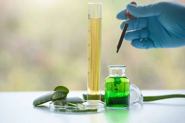 Aloe vera spa treatments on white wooden table with scientist ha