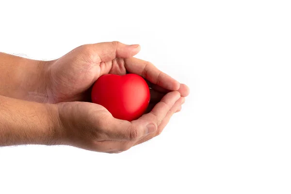 Tenuta in mano e donazione su un backgroun bianco isolato — Foto Stock