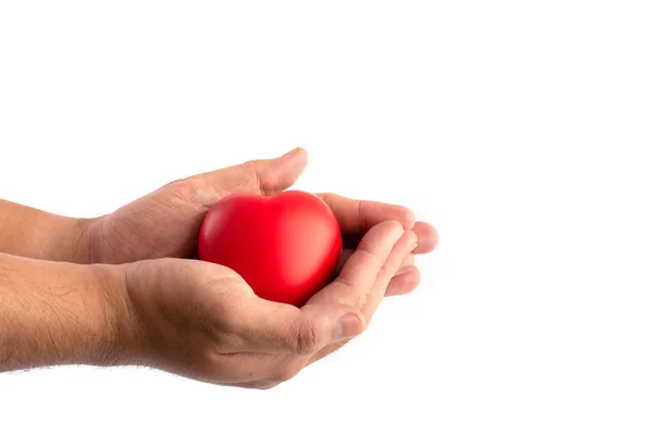 Tenuta in mano e donazione su un backgroun bianco isolato — Foto Stock