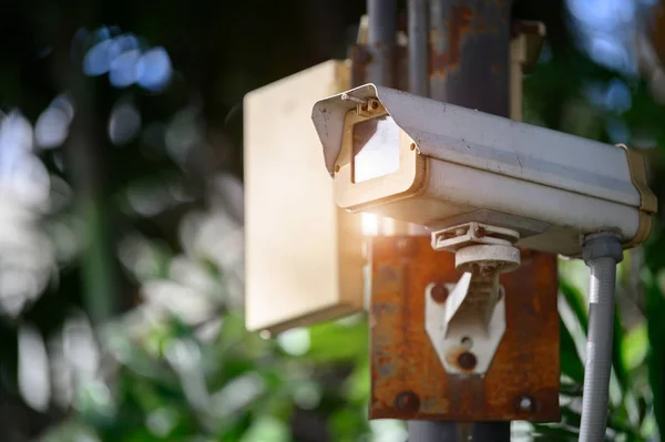 Kamera perekam digital CCTV di taman umum. Teknologi dan Secu — Stok Foto