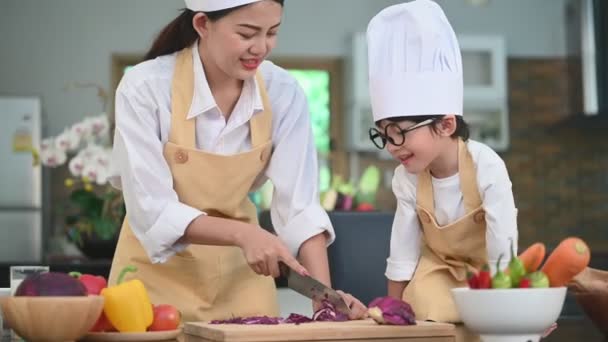 Piękna Azjatycka Kobieta Uroczy Mały Chłopiec Okularami Przygotowują Się Gotowania — Wideo stockowe