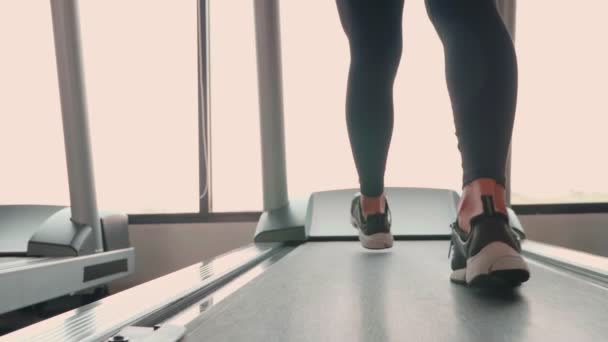 Nahaufnahmen Vom Frauentraining Fitnessstudio — Stockvideo