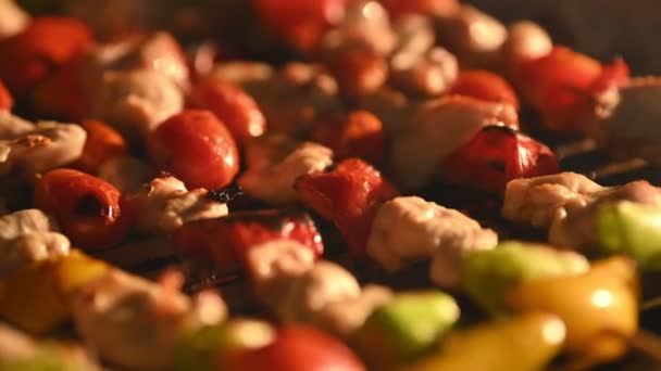 Vue Rapprochée Savoureux Kebabs Cuisson — Video