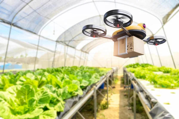 Hydroponics vegetables farming drone at indoors modern farm back