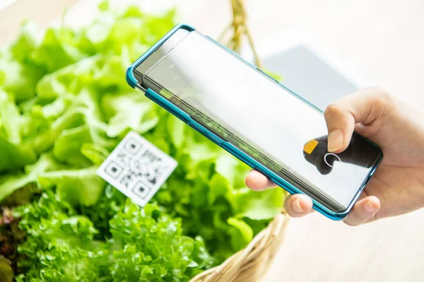Клієнти купують органічні овочі на фермі гідропоніки і платять — стокове фото