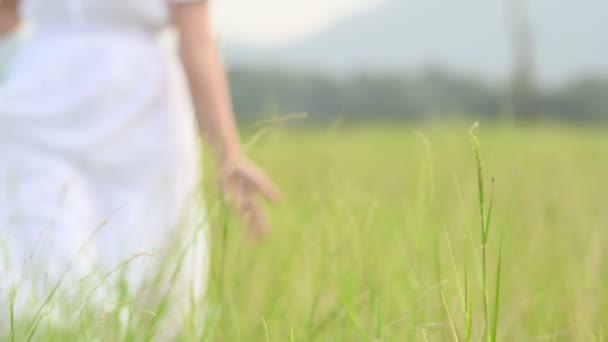 Mulher Asiática Vestido Branco Está Passeando Vastas Pastagens Tocando Topo — Vídeo de Stock