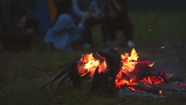 Вогнище Вночі Кемпінговими Людьми Фоні Лугового Поля Пікніку Боєголовка Темряві — стокове відео