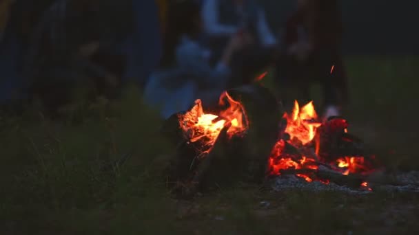 Lagerfeuer Der Nacht Mit Campenden Menschen Hintergrund Auf Einem Wiesenfeld — Stockvideo