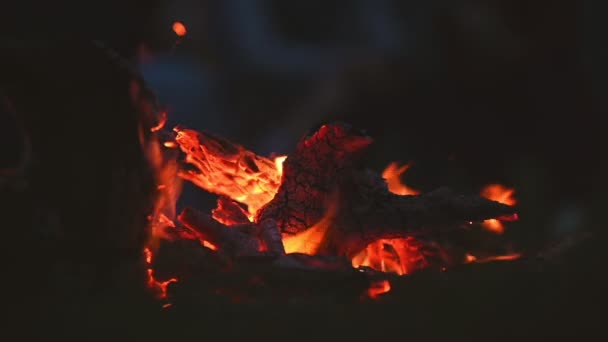 ピクニックの牧草地のフィールドでキャンプの人々の背景と夜のキャンプファイヤー 暗闇の中でたき火 燃料だスローモーションビデオ映像 — ストック動画