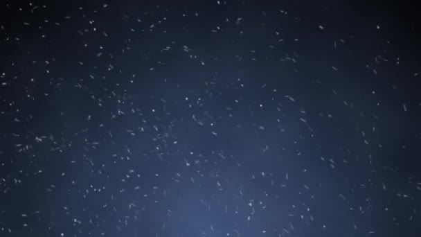 冬の雪が降る モーショングラフィックスの構成要素の濃い青の背景に雪 空気と嵐の中でランダムな雪のサイズの乱流 クリスマスの日に冬の雪片 4Kフッテージビデオ — ストック動画