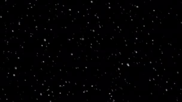 Winter Snow Falling Snow Black Background Motion Graphic Composing Elements — Stock Video