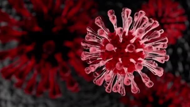 Κοντινό Πλάνο Του Ιού Red Coronavirus Ανθρώπινο Πνευμονικό Υπόβαθρο Ιατρική — Αρχείο Βίντεο