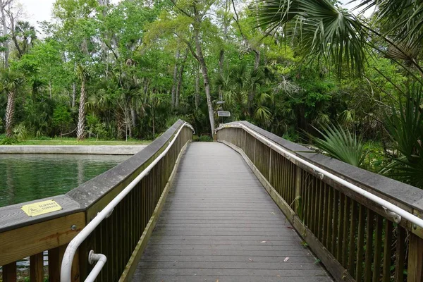 Caminho Pelos Bosques Natureza Wekiwa State Park — Fotografia de Stock