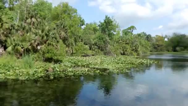 Langzame Pan Van Wekiwa State Park Gelegen Centraal Florida — Stockvideo