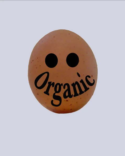 Brown uovo biologico fresco dalla fattoria che è pronto per il divertimento — Foto Stock