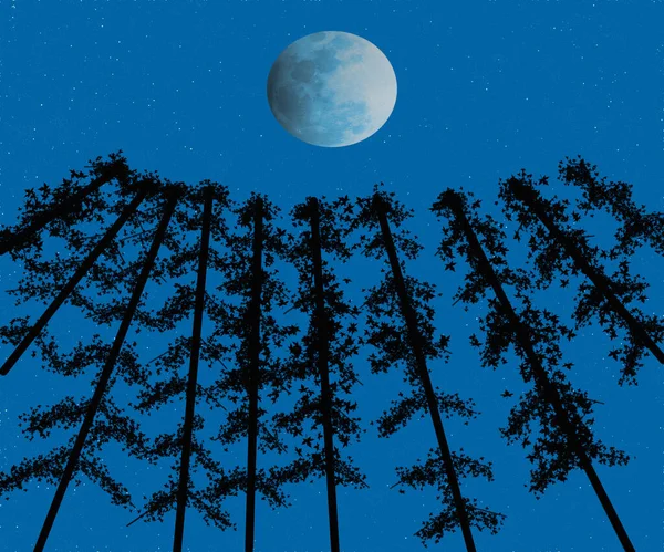 Иллюстрация Синей Луны Над Деревьями Темноте Ночи — стоковое фото