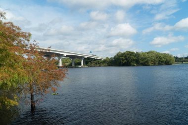 Seminole County Florida 'daki Monroe Gölü Wayside Parkı' nda öğleden sonra