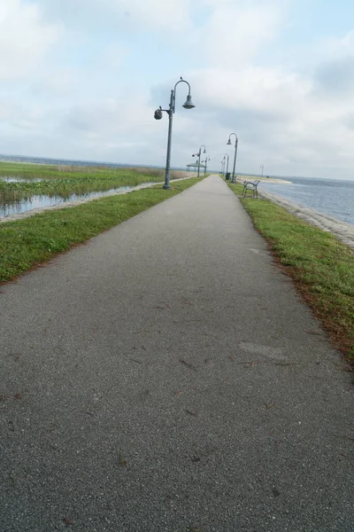 Πρωί Στη Λίμνη Tohopekaliga Από Πάρκο Lakefront Στην Κομητεία Osceola — Φωτογραφία Αρχείου