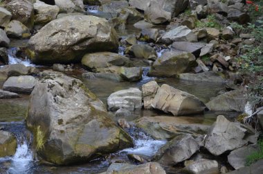 Taşlar nehir su doğa orman