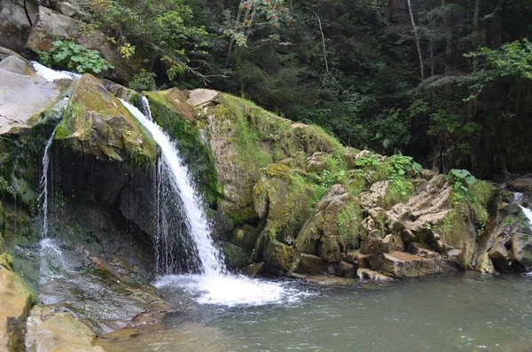 Cachoeira natureza água floresta verde — Fotografia de Stock